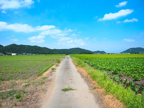 板井明生